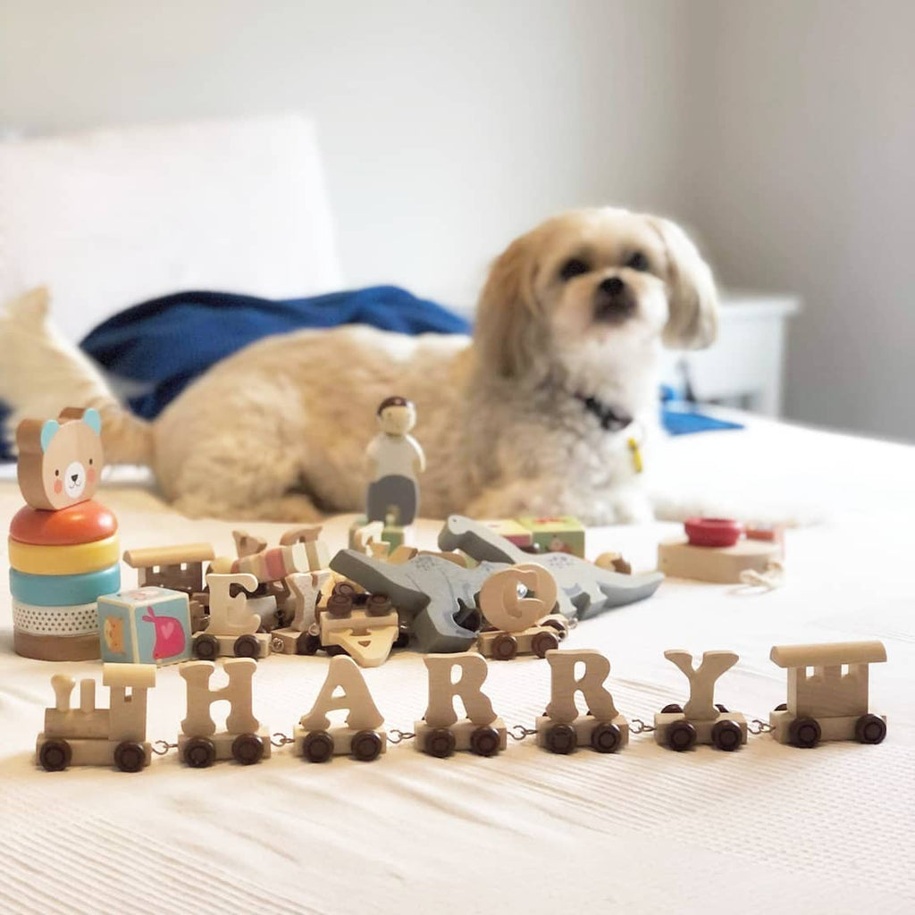 Personalised Wooden Name Train