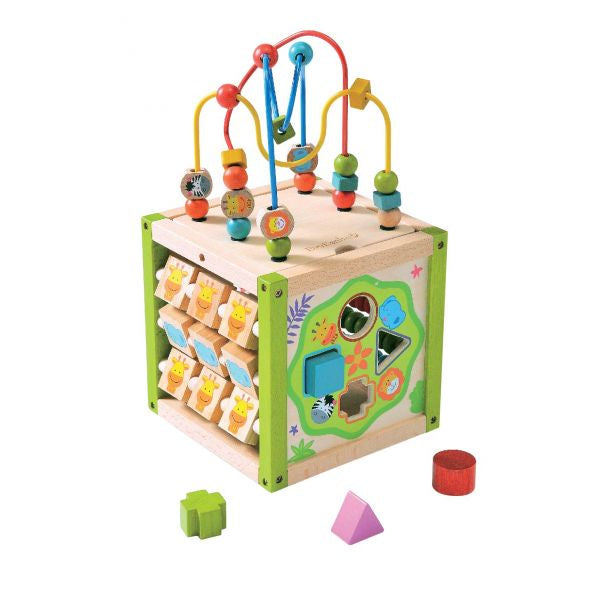 Everearth | My First Multi Play Cube