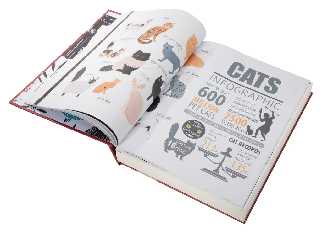 Puzzle Book | Cats