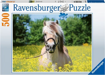 Ravensburger | 500pc | 150380 White Horse