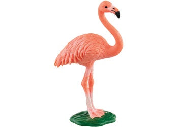 Schleich | Flamingo