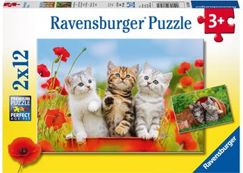 Ravensburger | 2 x 12 pc | 076260 Kitten Adventures