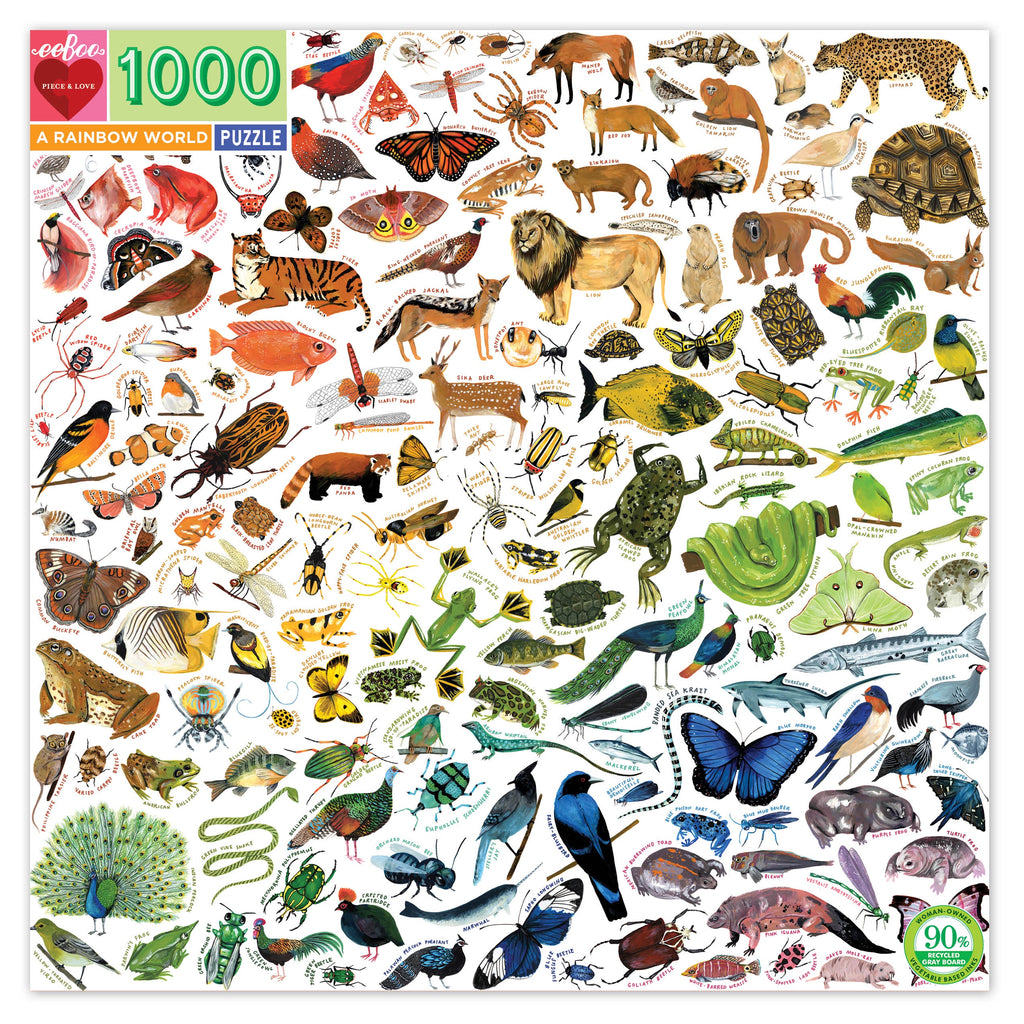 EeBoo | 1000pc Puzzle | A Rainbow World